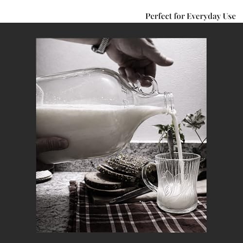 1 Gallon Glass Fermenting Jug with Air Lock and Rubber Stopper
