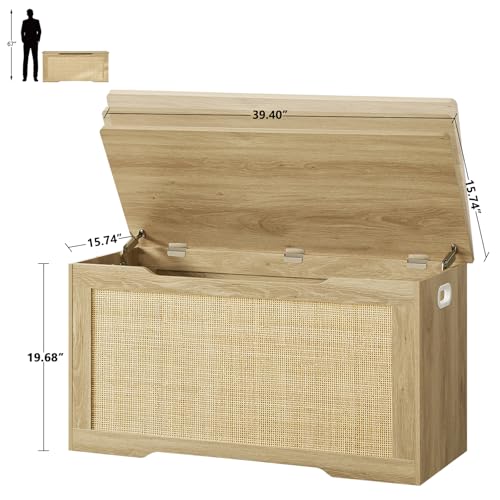 39-inch Storage Chest with Safety Hinges, Toy Box & Entryway Shoe Bench