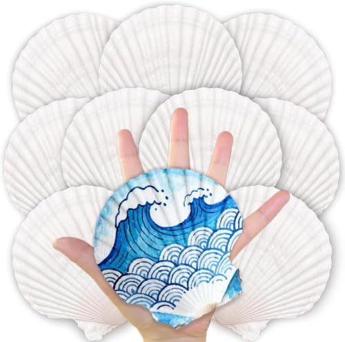 10-Pack Natural Large Scallop Shells (4-5 In) for DIY Crafts & Decor