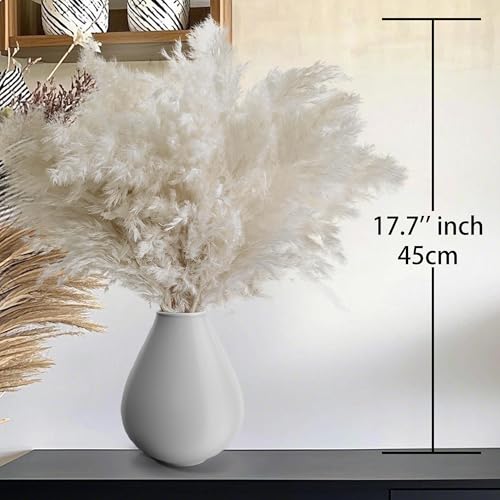 40 Pcs Fluffy White Pampas Grass Stems - Boho Home & Wedding Decor