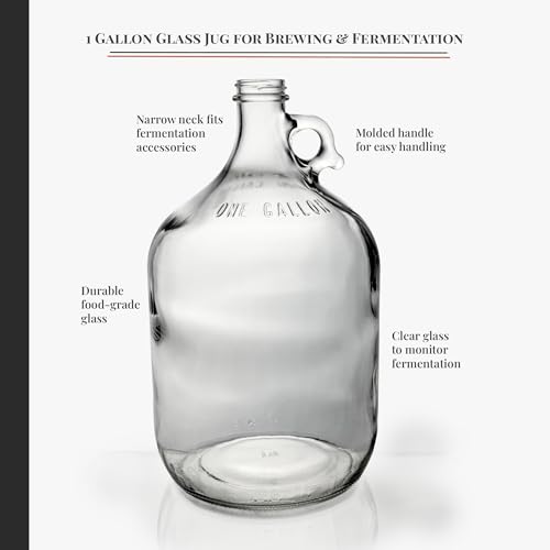 1 Gallon Glass Fermenting Jug with Air Lock and Rubber Stopper