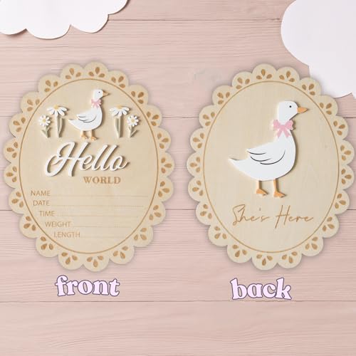 Double-Sided Wooden Baby Announcement Sign - Hello World Photo Prop