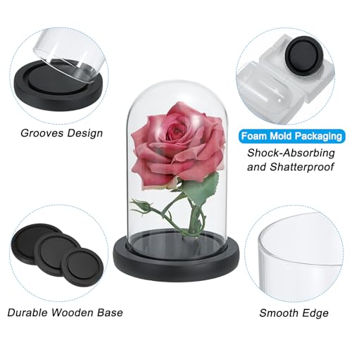 PATIKIL 7.3x5.9 Inch Clear Borosilicate Glass Cloche with Wooden Base for Home Decor and Display