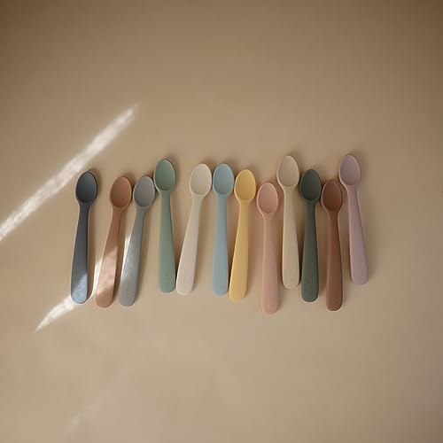Silicone Baby Feeding Spoons 2 Pack