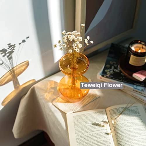 Natural Dried Mini Star Daisy Flowers - 200 Stems White Bouquet