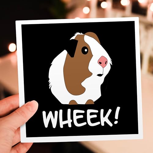 3dRose Guinea Pig Animal Wheek Funny Gift Greeting Card with Envelope - Single