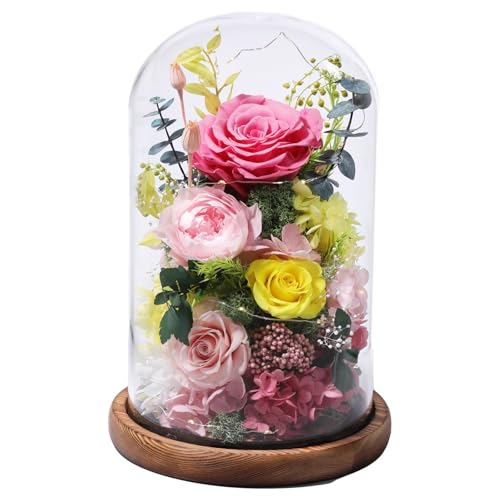 Preserved Pink Rose in Glass Dome with LED Lights for Romantic Gifts