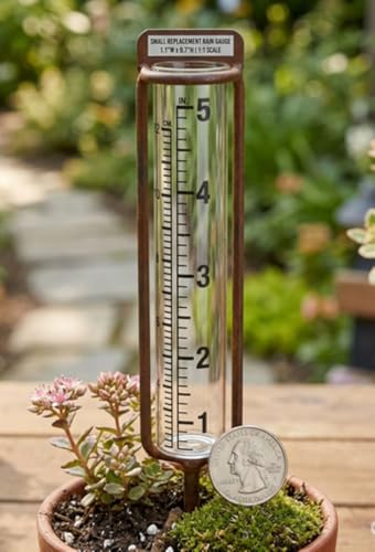 Small Replacement Rain Gauge Glass - 5.25" Height