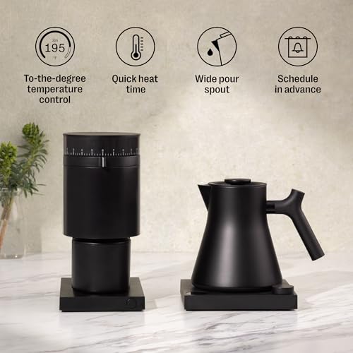 Electric Kettle with Precision Temperature Control, 0.9L Stainless Steel
