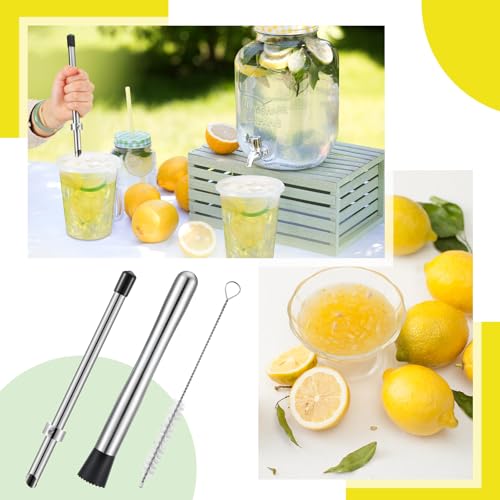Honeydak 8.7 Inch Lemonade Punch Tool Set - 5 Pcs Straw Hole Puncher, Muddler & Stir Spoon