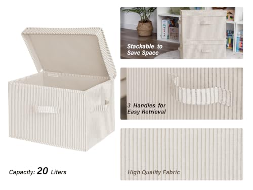 Fabric Storage Bins with Lids and Handles 2-Pack Large Collapsible