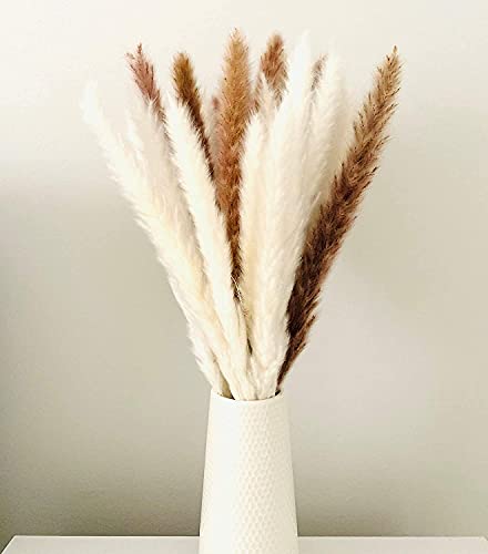 30 Pcs Natural Dried White Pampas Grass - 17 Inch Fluffy Floral Decor