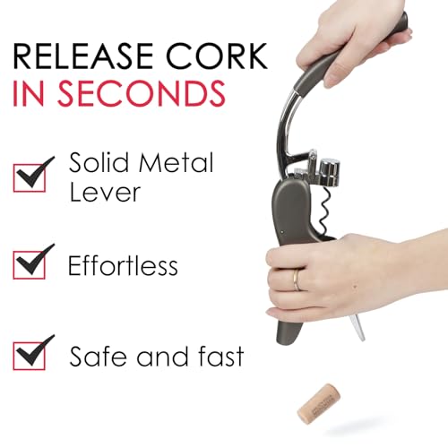 KAYCROWN Gray Stainless Steel Lever Wine Bottle Opener with Foil Cutter & Extra Spiral