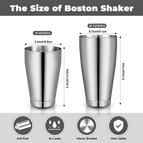 Sabary Silver 6-Piece Cocktail Shaker Set with 18 oz & 28 oz Boston Shakers