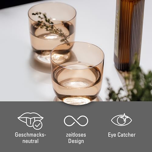Set of 2 Colored Glass Water Tumblers, Clay Brown Drinking Glasses