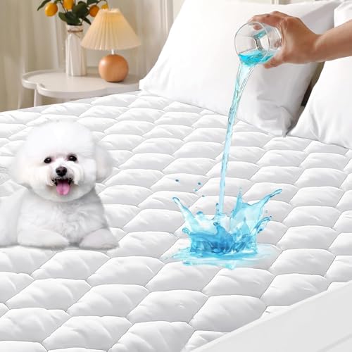 Queen Waterproof Mattress Protector - Soft Quilted Deep Pocket Cover