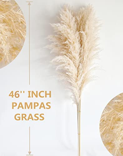 46-Inch Natural Dried Pampas Grass Decor - 10 Stems Fluffy Boho Bouquet