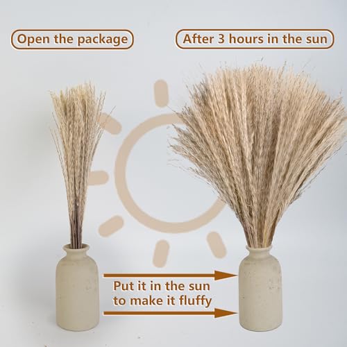 300 PCS Dried Pampas Grass and Flower Bouquet Set for Boho Home Decor