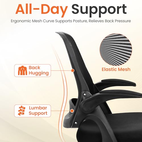 Ergonomic Mesh Office Chair with Flip-Up Arms and Lumbar Support, Black