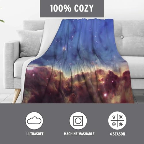80x60 Inch Flannel Plush Throw Blanket - Cozy Cardinal & Flowers Design - Soft & Warm Home Decor