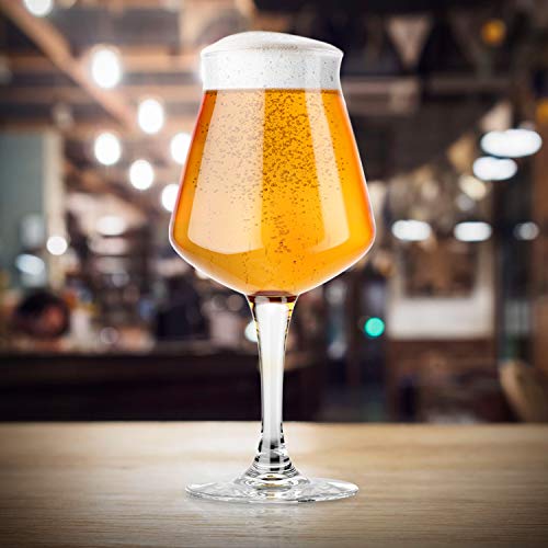 Nucleated Teku Stemmed Beer Glass - 14.2 oz Craft Beer Tasting Glass