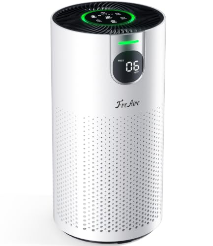 Large Room Air Purifier with H13 HEPA Filter and AQI Display