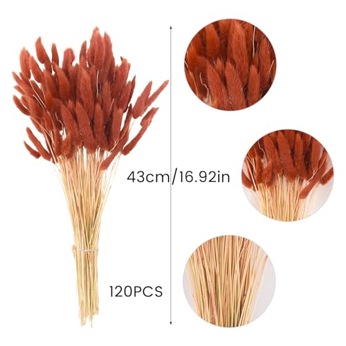 120pcs Burnt Orange Dried Bunny Tails 17-Inch Pampas Grass Boho Decor