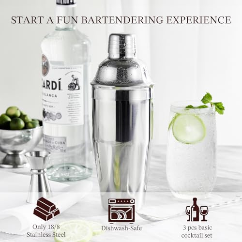 24oz Stainless Steel Cocktail Shaker Set with Strainer, Jigger & Spoon