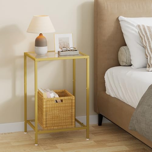 2-Tier Tempered Glass Side Table Set, Modern Metal Accent End Table