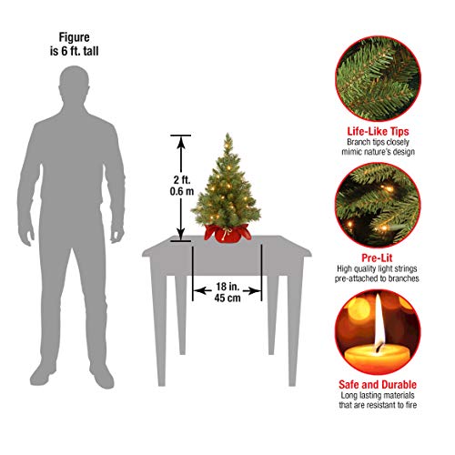 24-Inch Pre-Lit Mini Fir Christmas Tree with 35 Clear Lights & Red Base