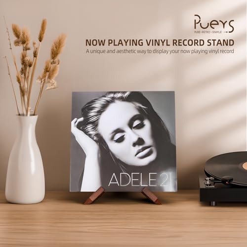 Now Playing Vinyl Record Stand, Rustic Wood Display Holder for Albums