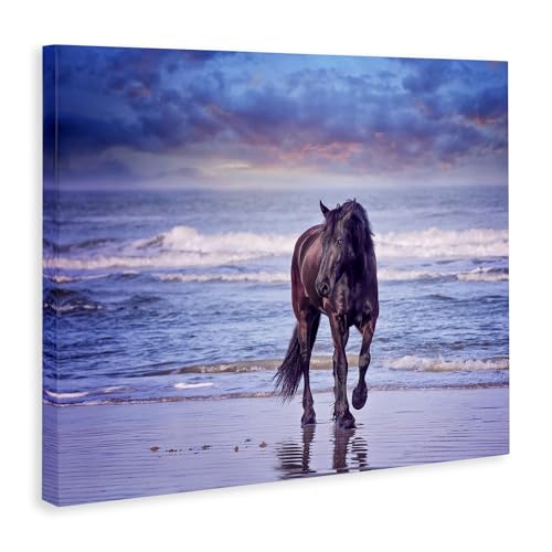 Stupell Industries Wild Horse on Beach Colorful Blue Sunset