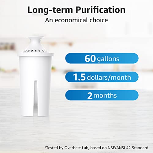 Overbest Pitcher Water Filter Replacements - NSF Certified, 6 Pack
