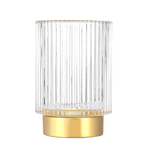 DASITON Clear Glass Makeup Brush Holder Organizer Vintage Striped Vase L