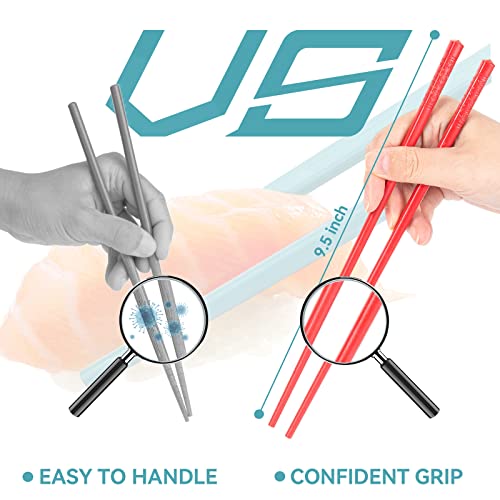 5 Pairs Reusable Fiberglass Chopsticks, 9.5-Inch Dishwasher Safe Set