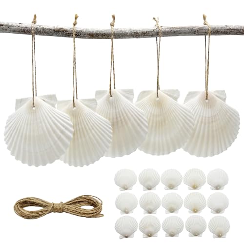 3-4 Inch Scallop Seashells with Hole - 15pc Natural White Craft Ornaments