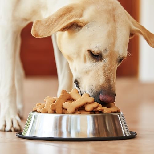 FUSOTO 8PCS Dog Bone & Paw Cookie Cutter Set – Stainless Steel, BPA Free, Includes Bone & Paw Sizes (Variation: 8PCS-Bones & Paws)