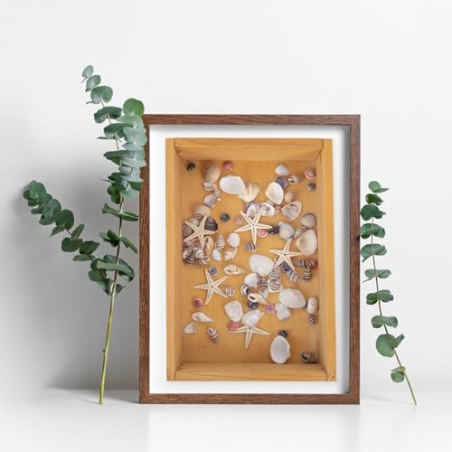 1000 Pcs Mixed Natural Mini Sea Shells & Starfish for DIY Crafts & Decor