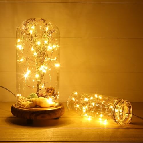 Warm White Fairy String Lights - 10ft 30 LED Battery Powered Silver Wire