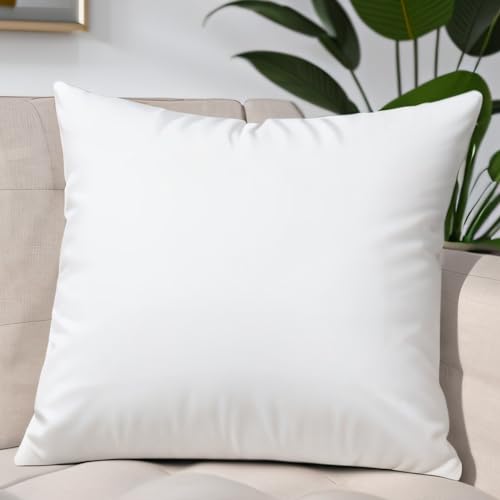 JIEITIVE Premium Hypoallergenic Throw Pillow Insert - 16 x 16 Inch Square