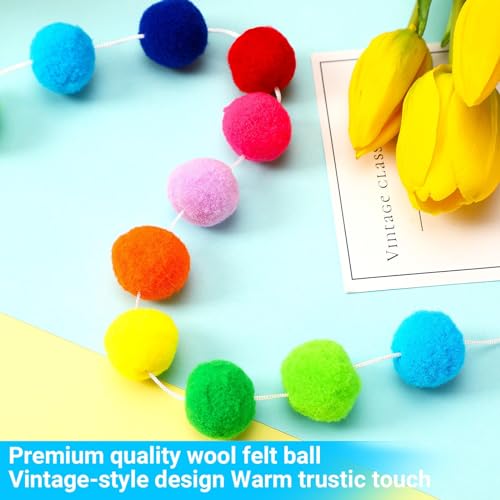 Rainbow Felt Pom Pom Garland (4 Pack) - Colorful Wall & Party Decor