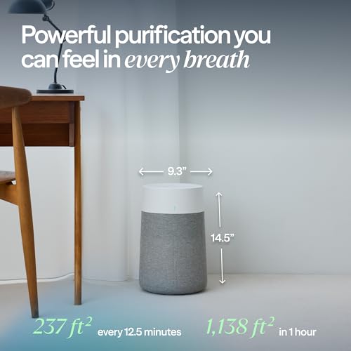 Smart Air Purifier for Bedroom and Small Rooms with HEPA Filter