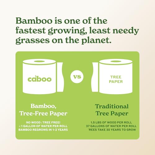 Tree-Free Bamboo Kitchen Paper Towels - Eco-Friendly 2-Ply (8 Family Rolls)