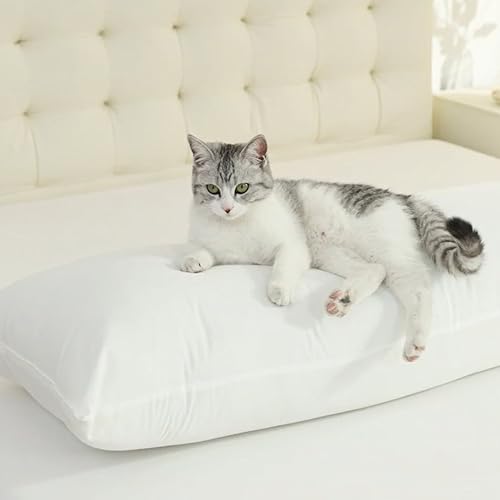 SHOUREN Full Body Pillow for Side Sleepers - 20x54 Inch Soft Bed Pillow