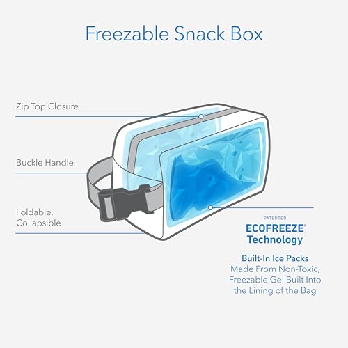 Freezable Insulated Snack Box Collapsible Mini Lunch Cooler, Black