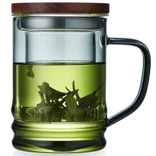 Unbreakable Modern Glass Tea Cup with Infuser & Lid 14.5oz Heat-Resistant Borosilicate
