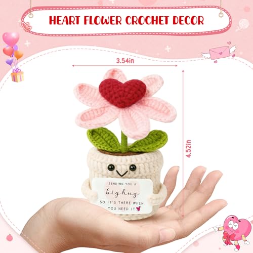 Handmade Crochet Heart Flower Plant Gift - Thinking of You Desk Decor