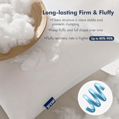 MIULEE 18x18 Throw Pillow Inserts 2 Pack, Fluffy Couch Pillow Forms