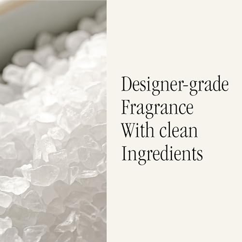 Smart Home Fragrance Diffuser Refill, Salt Scent, 2-Pack