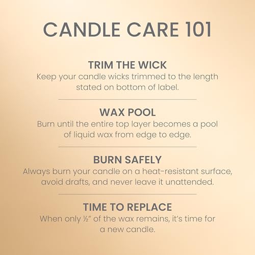 Yankee Candle French Vanilla, Scented Candle, 14.5oz 3-Wick Candle Jar with up to 40 Hours Burn Time, Giftable